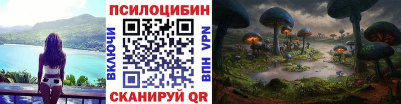 KRAKEN ТОР  Александровск  Псилоцибиновые грибы GOLDEN TEACHER 