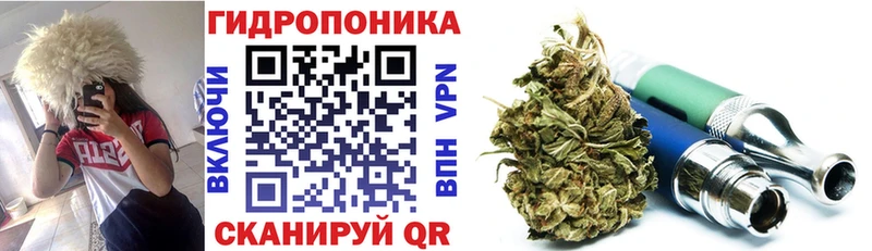 Шишки марихуана семена  блэк спрут ССЫЛКА  Александровск 
